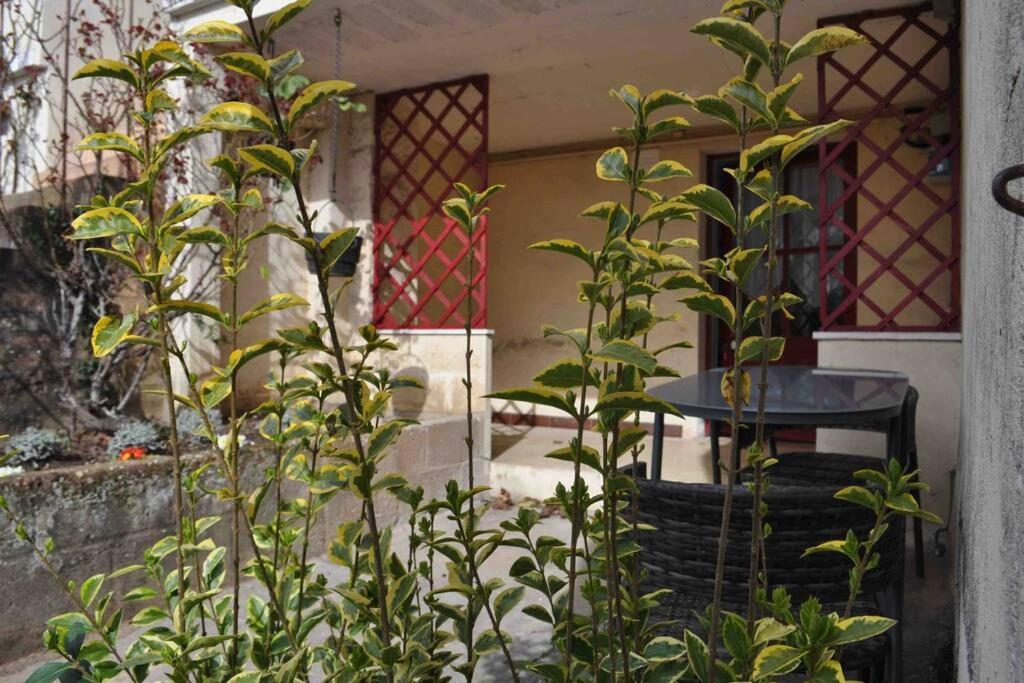 Spacieux- Le Clos Lingon Mâcon Εξωτερικό φωτογραφία